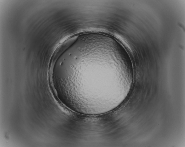 X0000091231237200708301508