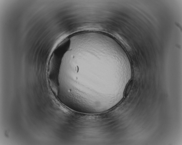 X0000091231240200708301508
