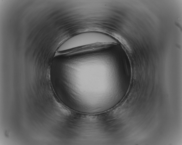 X0000091231241200708301508