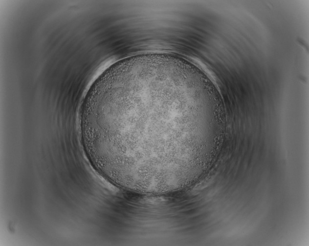 X0000091231243200708301508