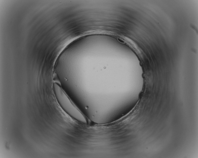 X0000091231244200708301508