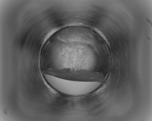 X0000091231245200708301508