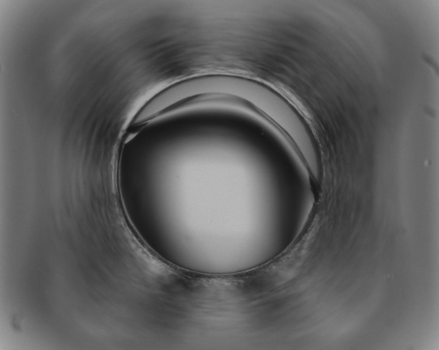 X0000091231246200708301508