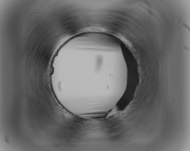 X0000091231248200708301508