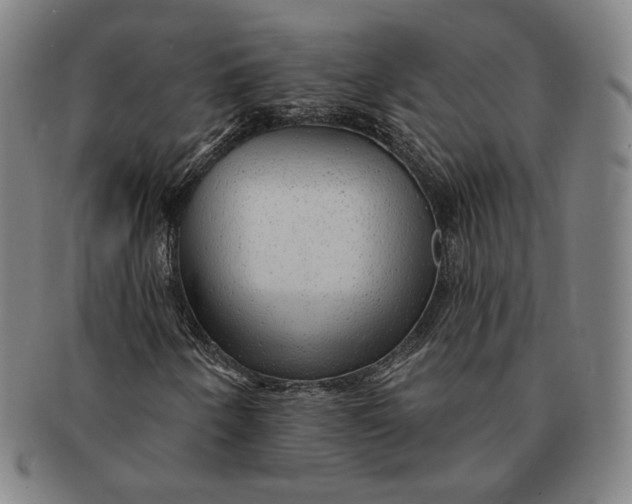 X0000091231250200708301508