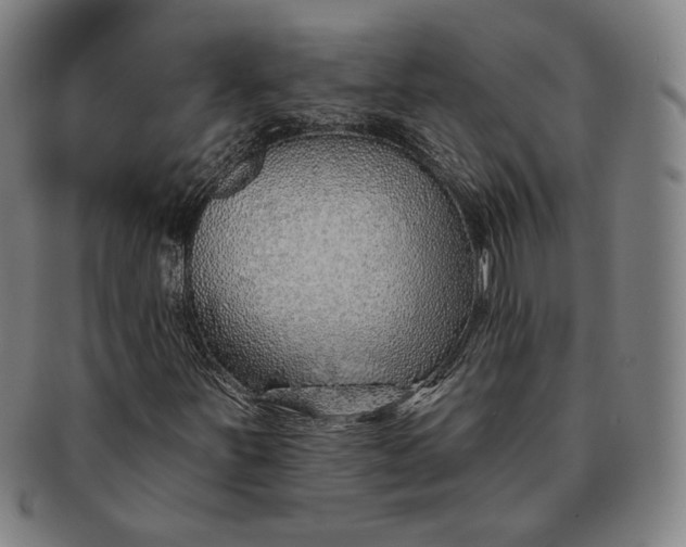 X0000091231251200708301508
