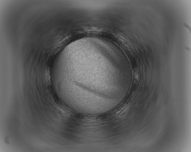 X0000091231252200708301508