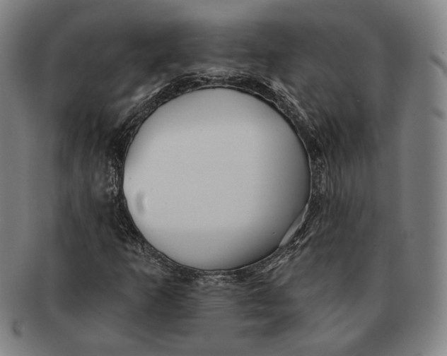 X0000091231253200708301508
