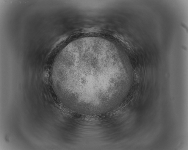 X0000091231254200708301508