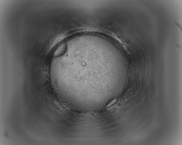 X0000091231255200708301508