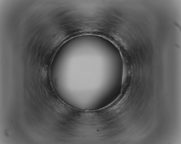 X0000091231257200708301508