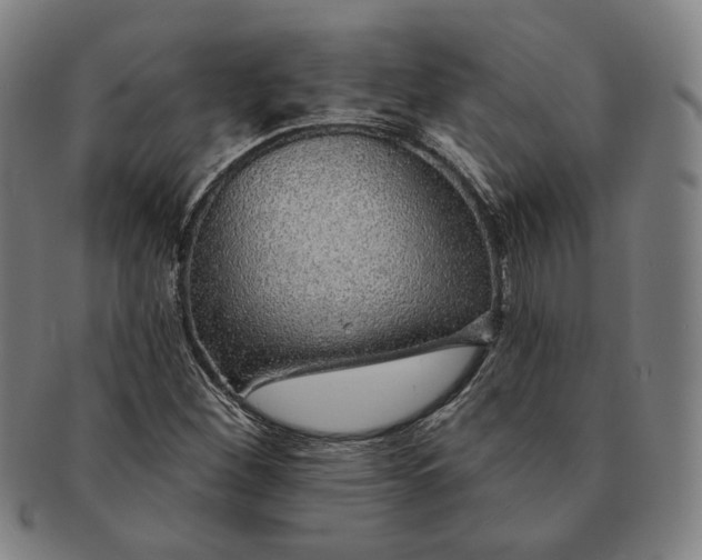 X0000091231260200708301508