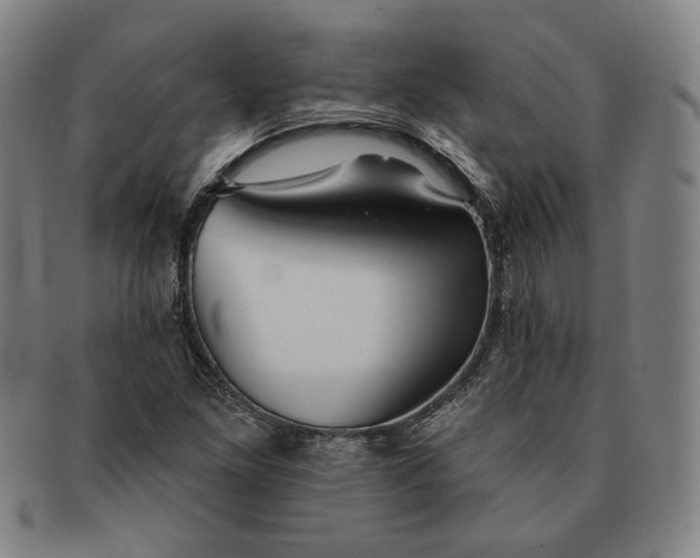 X0000091231261200708301508