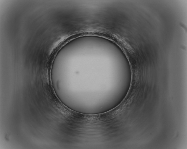 X0000091231262200708301508