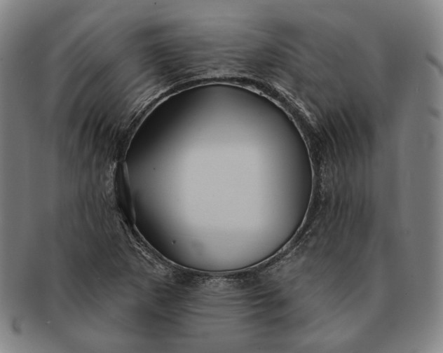 X0000091231265200708301507