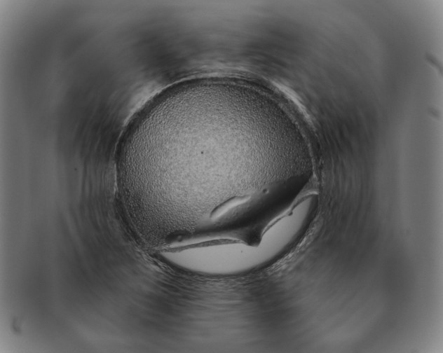 X0000091231267200708301507