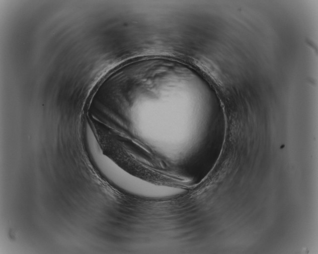 X0000091231268200708301507