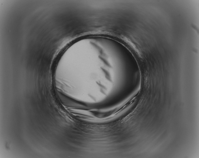 X0000091231270200708301507