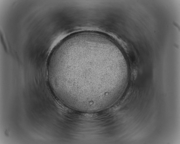X0000091231271200708301507