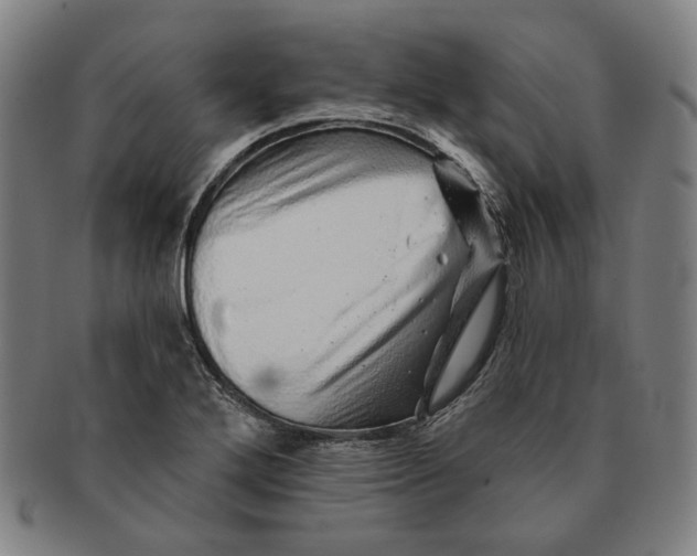 X0000091231272200708301507