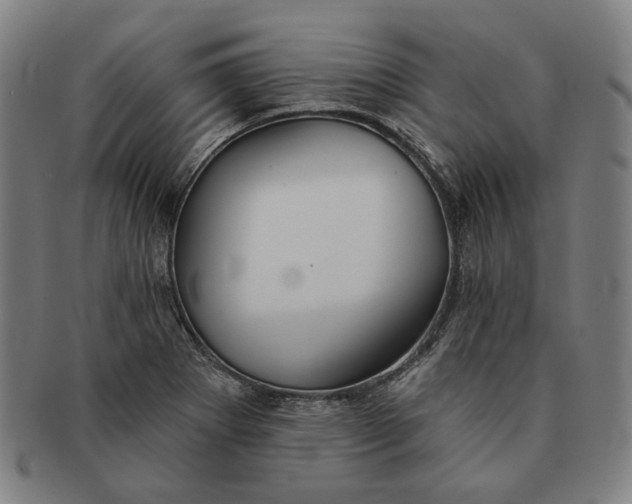 X0000091231273200708301507