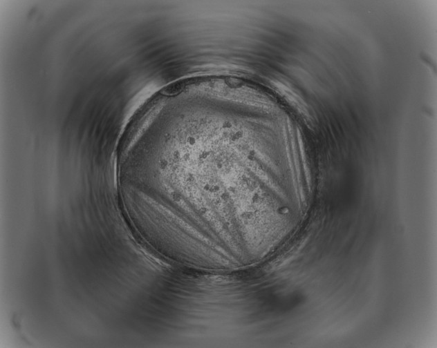 X0000091231275200708301507