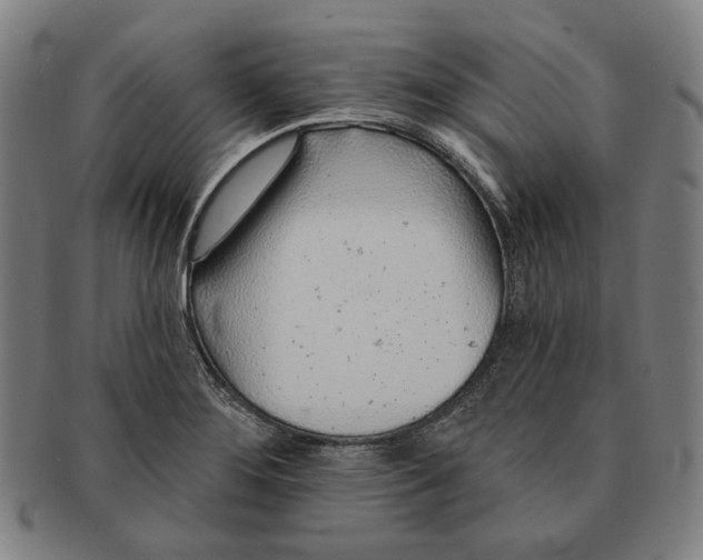 X0000091231276200708301507
