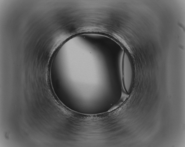 X0000091231277200708301507