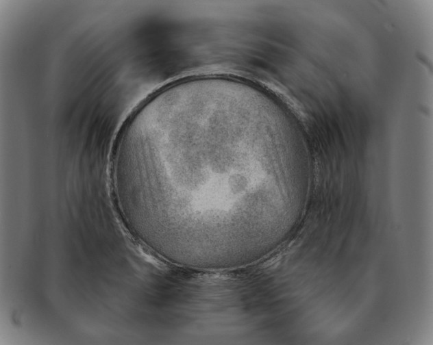 X0000091231278200708301507