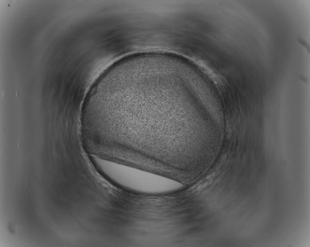 X0000091231279200708301507