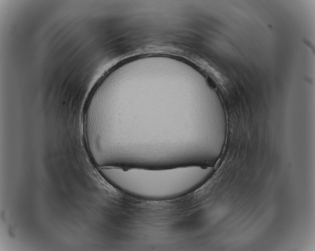X0000091231280200708301507