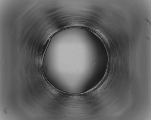 X0000091231281200708301507