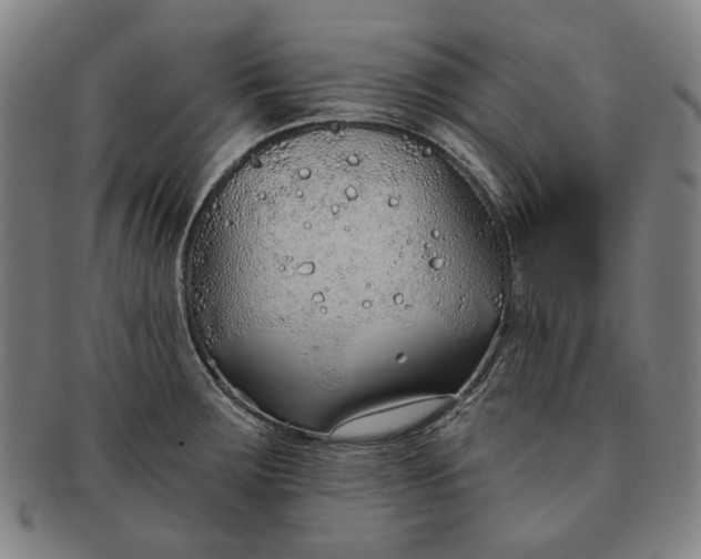 X0000091231283200708301507