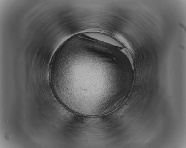 X0000091231284200708301507