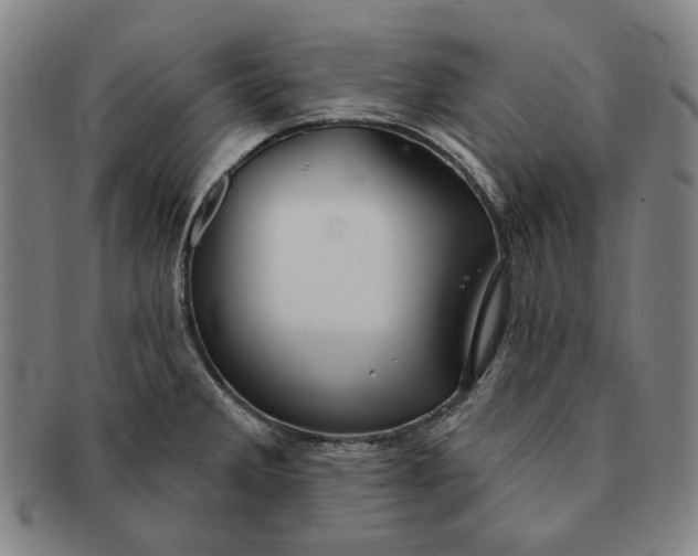 X0000091231285200708301507