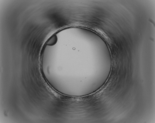 X0000091231286200708301507