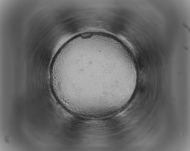 X0000091231287200708301507