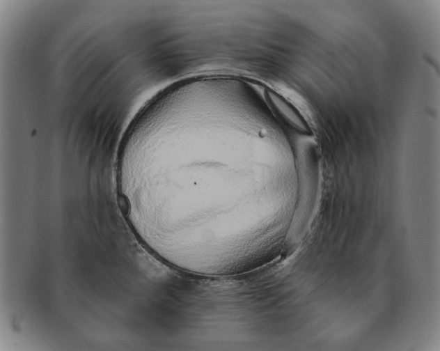 X0000091231288200708301507