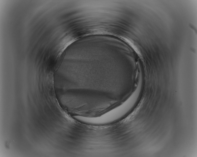 X0000091231289200708301507