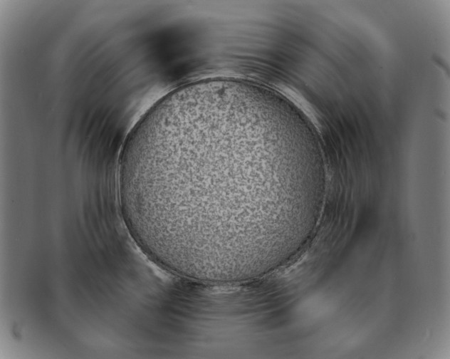 X0000091231290200708301507