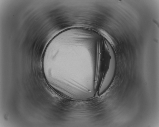 X0000091231292200708301507