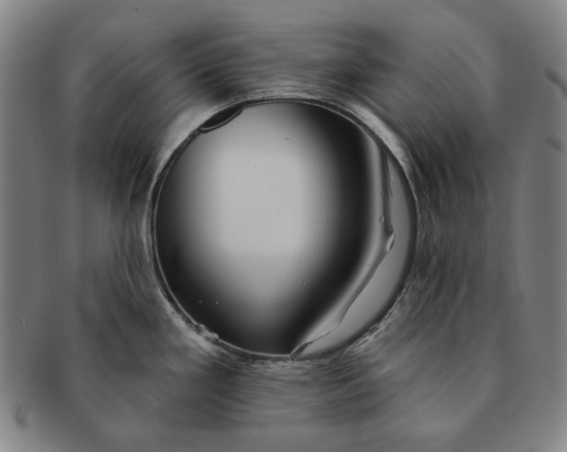 X0000091231293200708301507