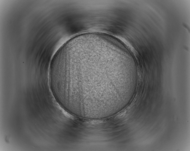 X0000091231294200708301507