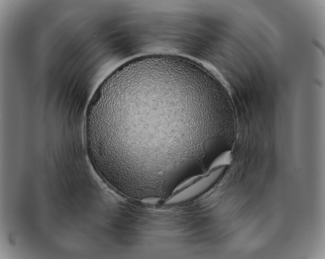 X0000091231295200708301507