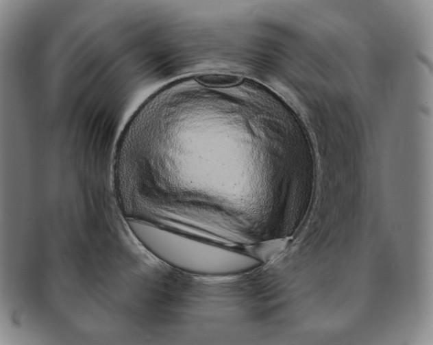 X0000091231296200708301507