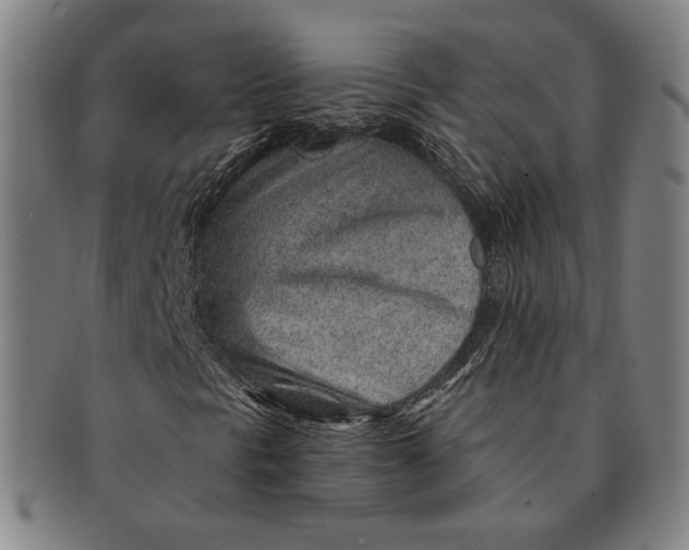 X0000091231297200708301506