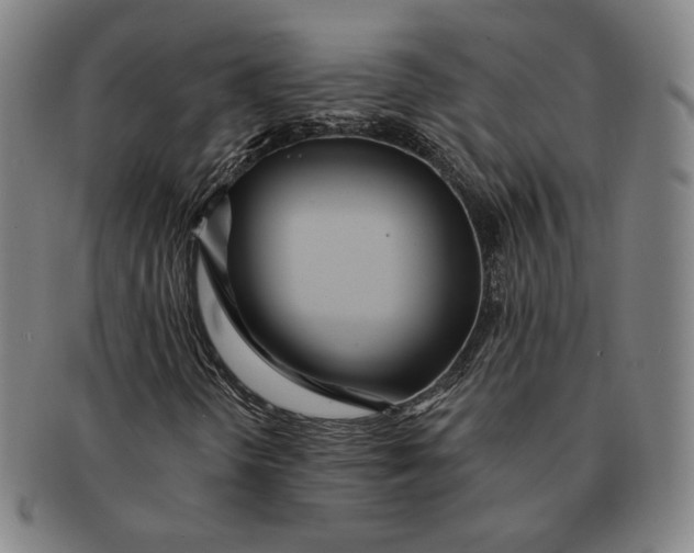 X0000091231298200708301506