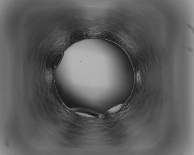 X0000091231299200708301506