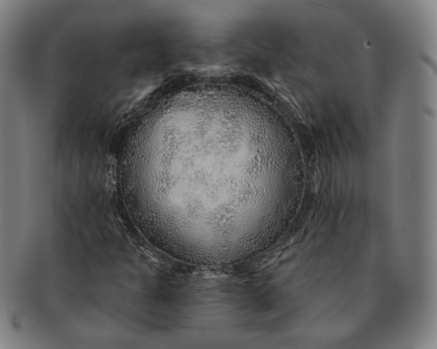 X0000091231301200708301506
