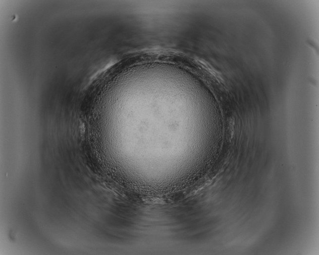 X0000091231302200708301506